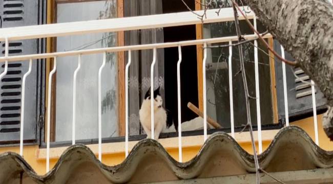 KUŞADASI’NDA BOŞ EVDE MAHSUR KALAN KEDİ İÇİN KURTARMA OPERASYONU