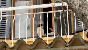 KUŞADASI’NDA BOŞ EVDE MAHSUR KALAN KEDİ İÇİN KURTARMA OPERASYONU