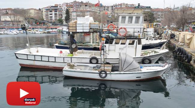 Marmara’da balıkçıların korkulu rüyası 10 yıl sonra geri döndü