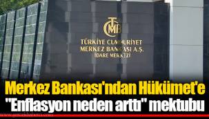 Merkez Bankası'ndan Hükümet'e