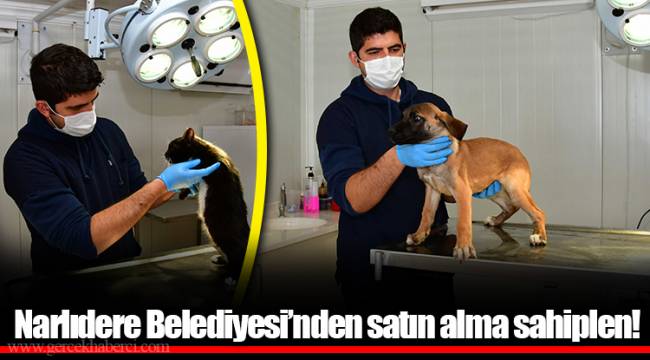 Narlıdere Belediyesi’nden satın alma sahiplen!