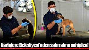Narlıdere Belediyesi’nden satın alma sahiplen!