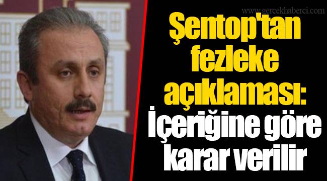 Şentop'tan fezleke açıklaması: İçeriğine göre karar verilir