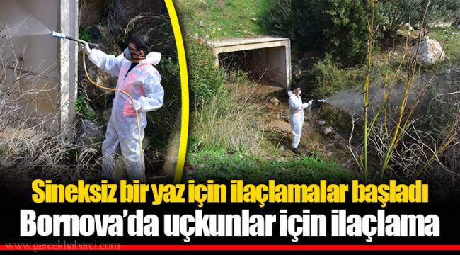 Sineksiz bir yaz için ilaçlamalar başladı
