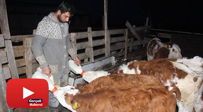 Üniversiteyi bitirip çiftçilik yaparak kendi işinin patronu oldu