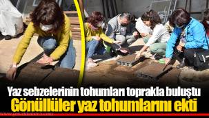 Yaz sebzelerinin tohumları toprakla buluştu