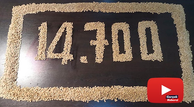 14 bin 700 adet uyuşturucu hap ele geçirildi