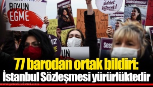 77 barodan ortak bildiri: İstanbul Sözleşmesi yürürlüktedir
