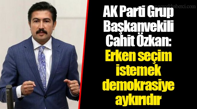 AK Parti Grup Başkanvekili Cahit Özkan: Erken seçim istemek demokrasiye aykırıdır