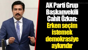 AK Parti Grup Başkanvekili Cahit Özkan: Erken seçim istemek demokrasiye aykırıdır