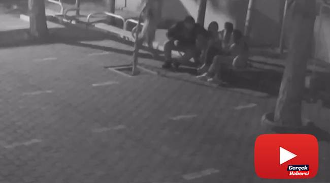 Akıl almaz görüntü, neden yaptığını hiç kimse anlamadı