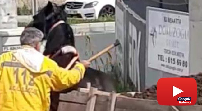 Ata keserli işkence