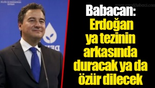 Babacan: Erdoğan ya tezinin arkasında duracak ya da özür dilecek