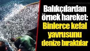 Balıkçılardan örnek hareket: Binlerce kefal yavrusunu denize bıraktılar