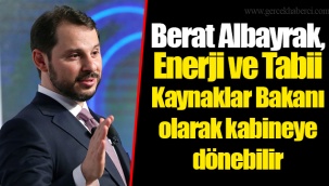 Berat Albayrak, Enerji ve Tabii Kaynaklar Bakanı olarak kabineye dönebilir