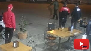 Bodrum’da pitbull saldırısı güvenlik kameralarına yansıdı