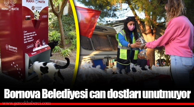 Bornova Belediyesi can dostları unutmuyor