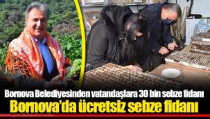 Bornova’da ücretsiz sebze fidanı
