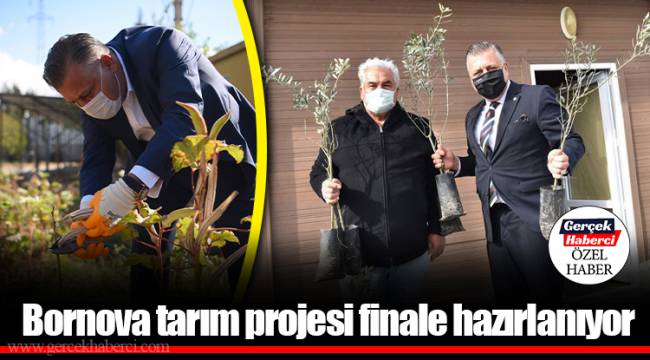 Bornova tarım projesi finale hazırlanıyor