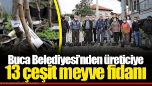 Buca Belediyesi’nden üreticiye 13 çeşit meyve fidanı