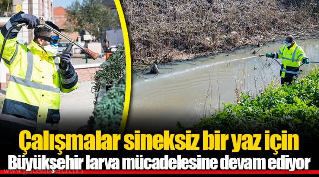 Çalışmalar sineksiz bir yaz için