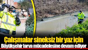 Çalışmalar sineksiz bir yaz için