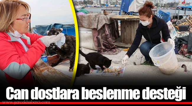 Can dostlara beslenme desteği 