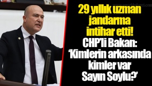 CHP’li Bakan: ‘Kimlerin arkasında kimler var Sayın Soylu?’