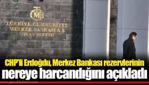 CHP'li Erdoğdu, Merkez Bankası rezervlerinin nereye harcandığını açıkladı