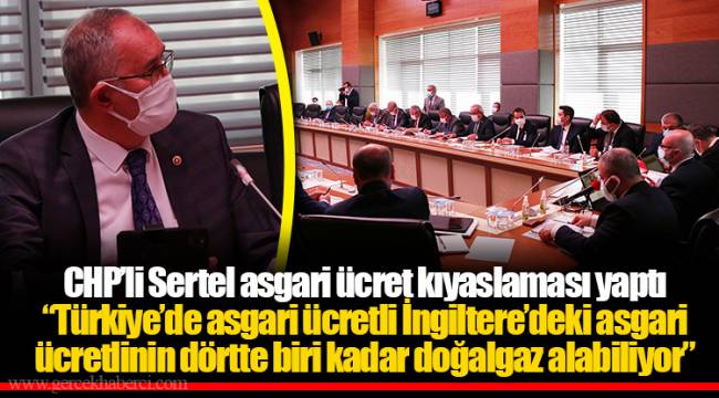 CHP’li Sertel asgari ücret kıyaslaması yaptı