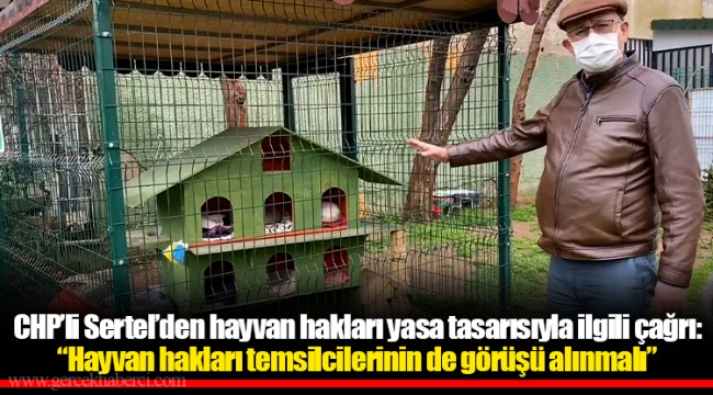CHP’li Sertel’den hayvan hakları yasa tasarısıyla ilgili çağrı: “Hayvan hakları temsilcilerinin de görüşü alınmalı”