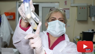 Covid-19 tedavisinde Zonguldak'tan umutlandıran gelişme