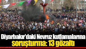 Diyarbakır'daki Nevruz kutlamalarına soruşturma: 13 gözaltı