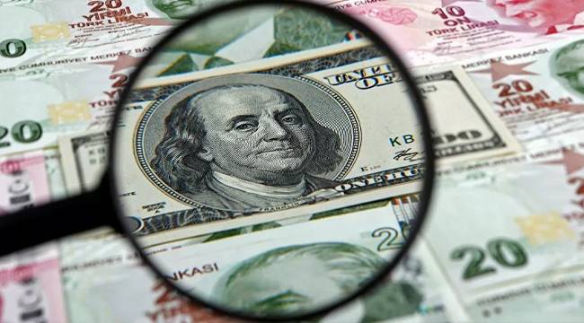 Dolar/TL 7.35'in üzerini gördü