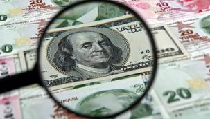 Dolar/TL 7.35'in üzerini gördü