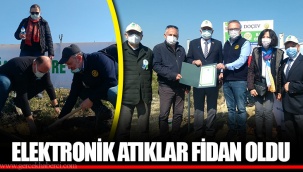 ELEKTRONİK ATIKLAR FİDAN OLDU