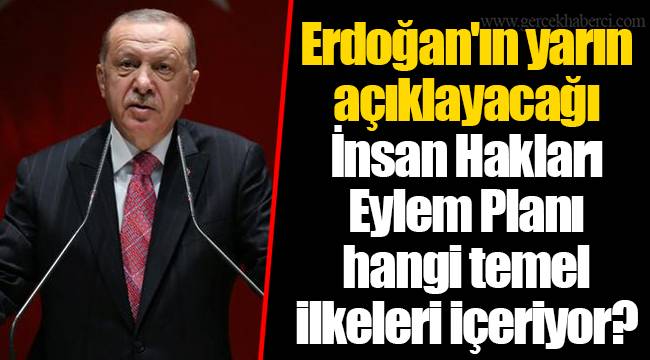 Erdoğan'ın yarın açıklayacağı İnsan Hakları Eylem Planı hangi temel ilkeleri içeriyor?