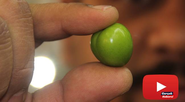 Eriğin fiyatı pastırmayı geçti