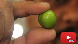 Eriğin fiyatı pastırmayı geçti