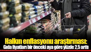 Halkın enflasyonu araştırması: Gıda fiyatları bir önceki aya göre yüzde 2,5 arttı