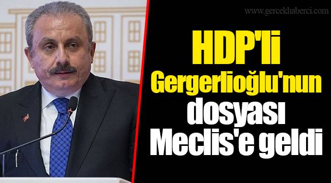 HDP'li Gergerlioğlu'nun dosyası Meclis'e geldi