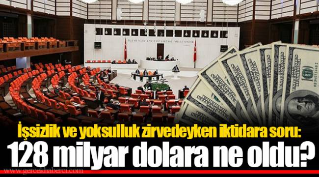 İşsizlik ve yoksulluk zirvedeyken iktidara soru: 128 milyar dolara ne oldu?