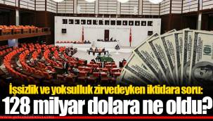 İşsizlik ve yoksulluk zirvedeyken iktidara soru: 128 milyar dolara ne oldu?
