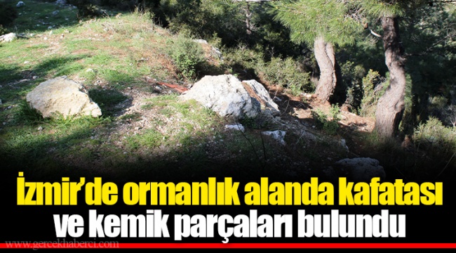 İzmir’de ormanlık alanda kafatası ve kemik parçaları bulundu