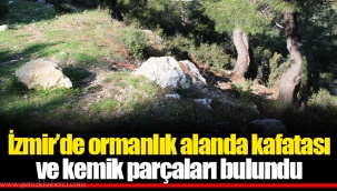 İzmir’de ormanlık alanda kafatası ve kemik parçaları bulundu