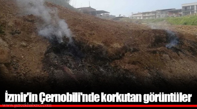 İzmir'in Çernobili'nde korkutan görüntüler