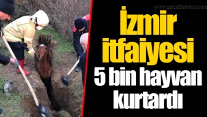İzmir itfaiyesi 5 bin hayvan kurtardı