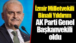 İzmir Milletvekili Binali Yıldırım AK Parti Genel Başkanvekili oldu