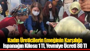Kadın Üreticilerin Emeğinin Karşılığı: Ispanağın Kilosu 1 Tl, Yevmiye Ücreti 80 Tl