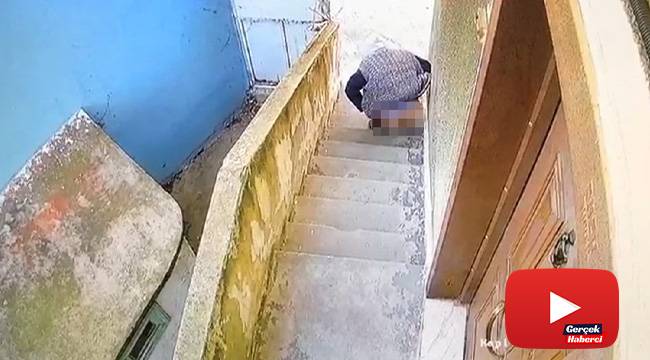 Kedi köpek zannetti, insan çıktı